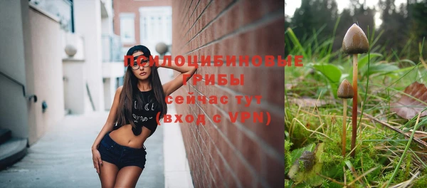 герыч Алексин